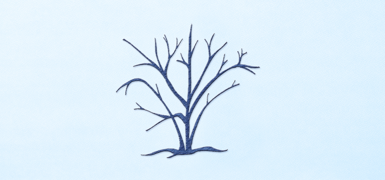 Birch Tree Blue Faux